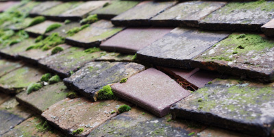 Dullingham roof repair costs